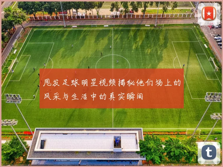 甩发足球明星视频揭秘他们场上的风采与生活中的真实瞬间