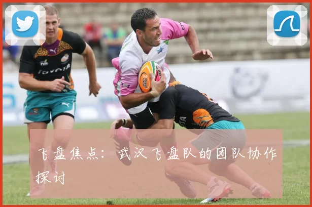 飞盘焦点：武汉飞盘队的团队协作探讨