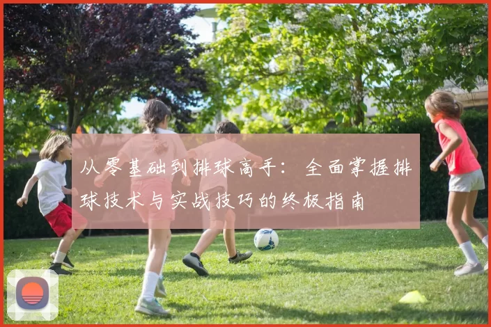从零基础到排球高手：全面掌握排球技术与实战技巧的终极指南