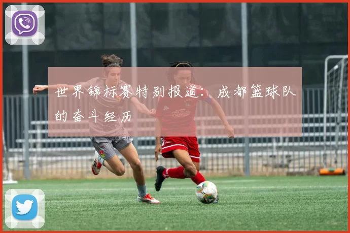 世界锦标赛特别报道：成都篮球队的奋斗经历