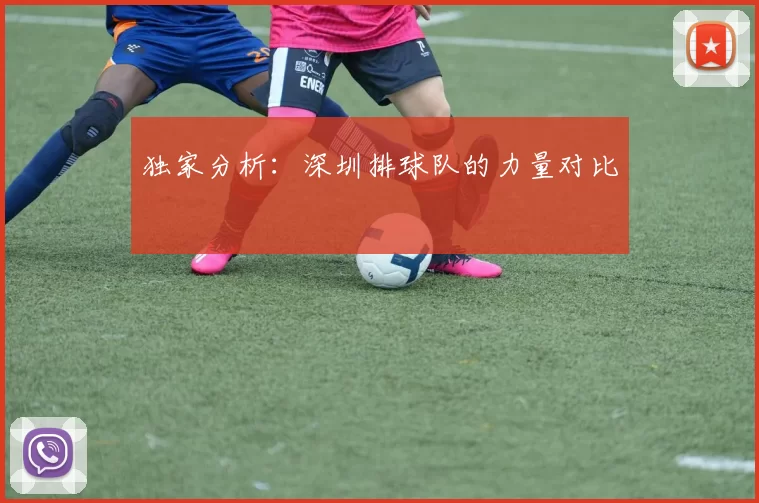 独家分析：深圳排球队的力量对比