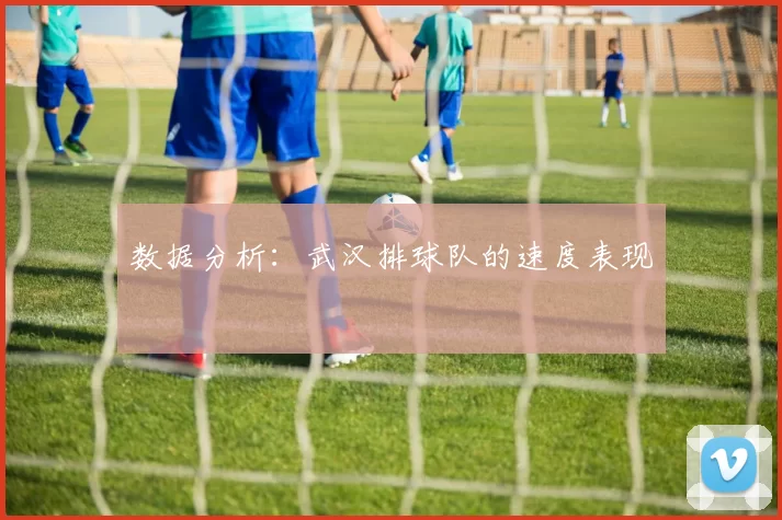 数据分析：武汉排球队的速度表现