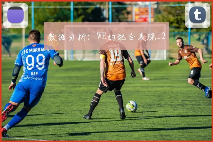 数据分析：WE的配合表现_2