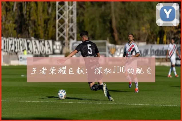 王者荣耀巨献：探秘JDG的配合