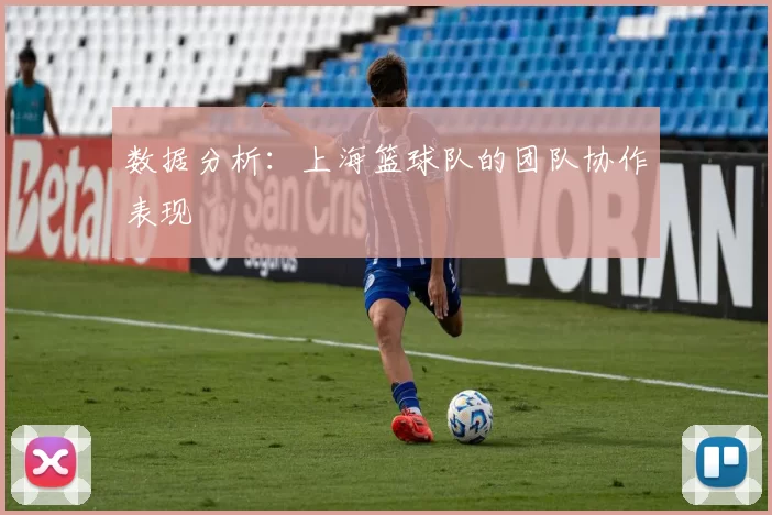 数据分析：上海篮球队的团队协作表现