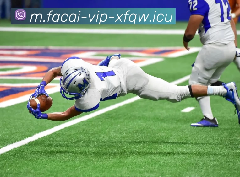 开云体育全站App